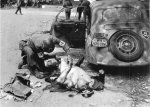 wwii_photo_0360.jpg