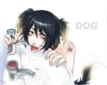 Ayame - DOG.jpg