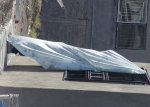 a hang 10.jpg