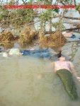 Victims of the cyclone, Bogalay Township, Delta Region, Burma. May 2008.1.jpg