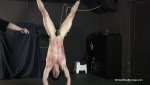 upside down whipping.jpg