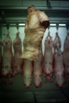 human_flesh_butcher_shop_opens_in_london_640_09.jpg