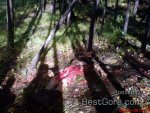 man-killed-partially-eaten-by-bear-05.jpg