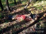 man-killed-partially-eaten-by-bear-07.jpg