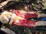 man-killed-partially-eaten-by-bear-08.jpg