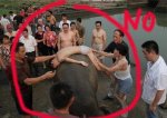 china01.jpg