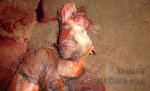 guy-beating-skull-open-brain-spill-brazil-04.jpg