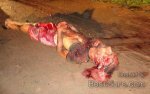 guy-beating-skull-open-brain-spill-brazil-08.jpg