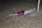 _DSC1104.jpg