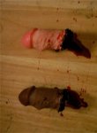 severed-penis-03.jpg