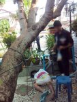 hang girl 02.jpg