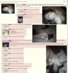 1415152639935.jpg