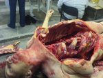 -autopsy-female-autopsy-01.jpg