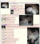 4chan1.jpg