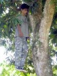 20090216214322-thyexbluqoaoqhmmt.jpg