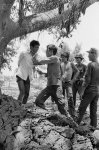 viet cong.jpg