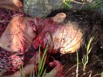 Unidentified%2520woman%2520found%2520killed%252004.jpg
