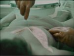 Capture26.JPG