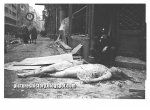 upload 27 soviet-russian-army-berlin-1945-ww2-second-war-two-incredible-pictures-images-photos-0.jpg