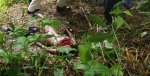 Student raped and killed 01.jpg