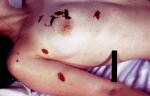 dead-women9.jpg