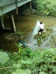 28-30 yo woman shot and thown in canal 01.jpg