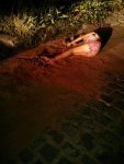 25 yo %28approx%29 found on road run over 00.jpg