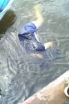 Female floater 01.jpg