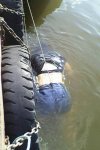 Female floater 03.jpg