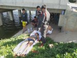 Woman drowned under bridge 12.jpg