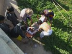 Woman drowned under bridge 15.jpg