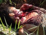 Unidentified woman found killed 02.jpg