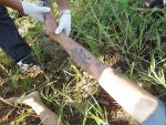 Unidentified woman found killed 03.jpg