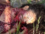 Unidentified woman found killed 04.jpg