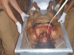 Woman found raped and killed with a stick 01.jpg