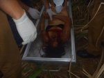 Woman found raped and killed with a stick 02.jpg