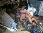 Woman killed in collision between trucks 01.jpg
