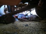 Woman killed in collision between trucks 04.jpg