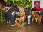 mulher_assasinada_governador_2edsaN_lobao_.jpg