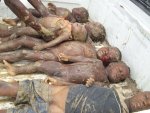 deadchildrenhaiti01132010.jpg