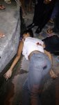 Larissa-foi-morta-com-tiros-de-pistola.jpg