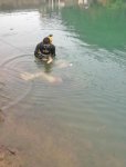 drown470_1.jpg