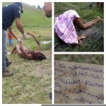 portaldoholanda-652630-imagem-foto-amazonas.jpg