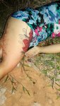 portaldoholanda-667083-imagem-foto-amazonas.jpg