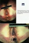 enlarged 49.jpg