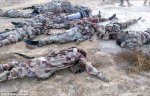 dead-soldiers-egypt.jpg