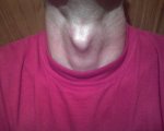 neck008.jpg