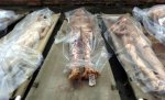 Relatives-Identify-Dead-Children-In-Vladikavkaz-Russia-Sept-2004-17.jpg