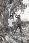 viet cong2.jpg