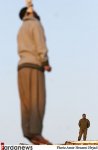 5563_661.jpg